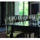 Набор из 2-х бокалов для вина Viognier/Chardonnay 370 мл, артикул 6448/05. Серия Wine