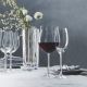 Vivendi Premium Pinot Noir Set 4